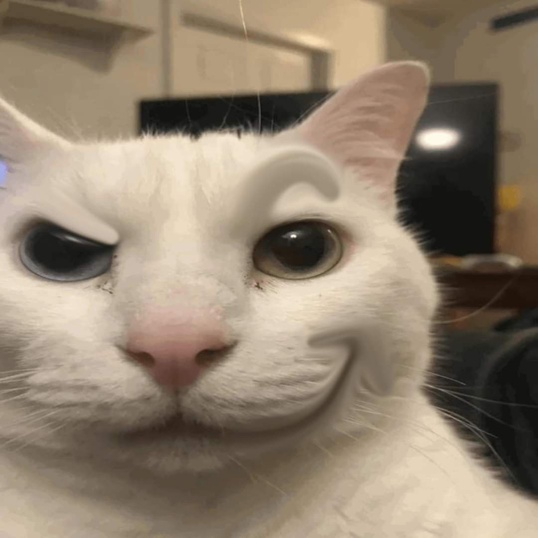 chat global pulex